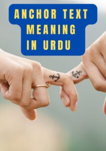 Anchor Text Meaning in Urdu