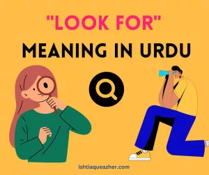 Look for Meaning in Urdu