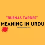 Buenas Tardes Meaning in Urdu