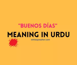 Buenos días Meaning in Urdu