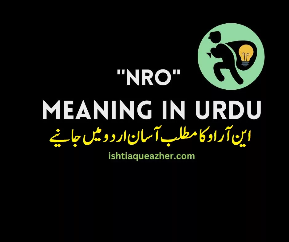 NRO Meaning in Urdu – این آر او کا مطلب آسان اردو میں جانیے