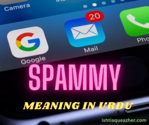 Spammy Meaning in Urdu