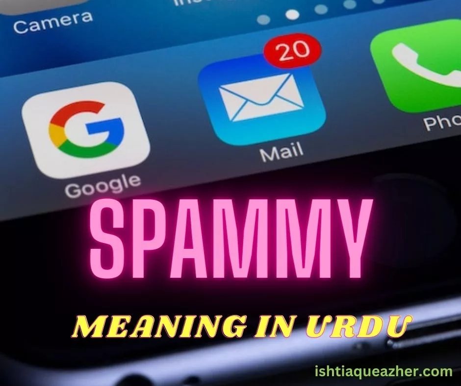 Spammy Meaning in Urdu