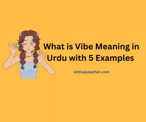 Vibe meaning in Urdu