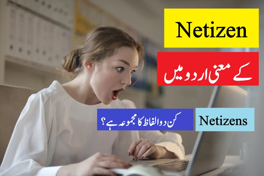 Netizens meaning in Urdu